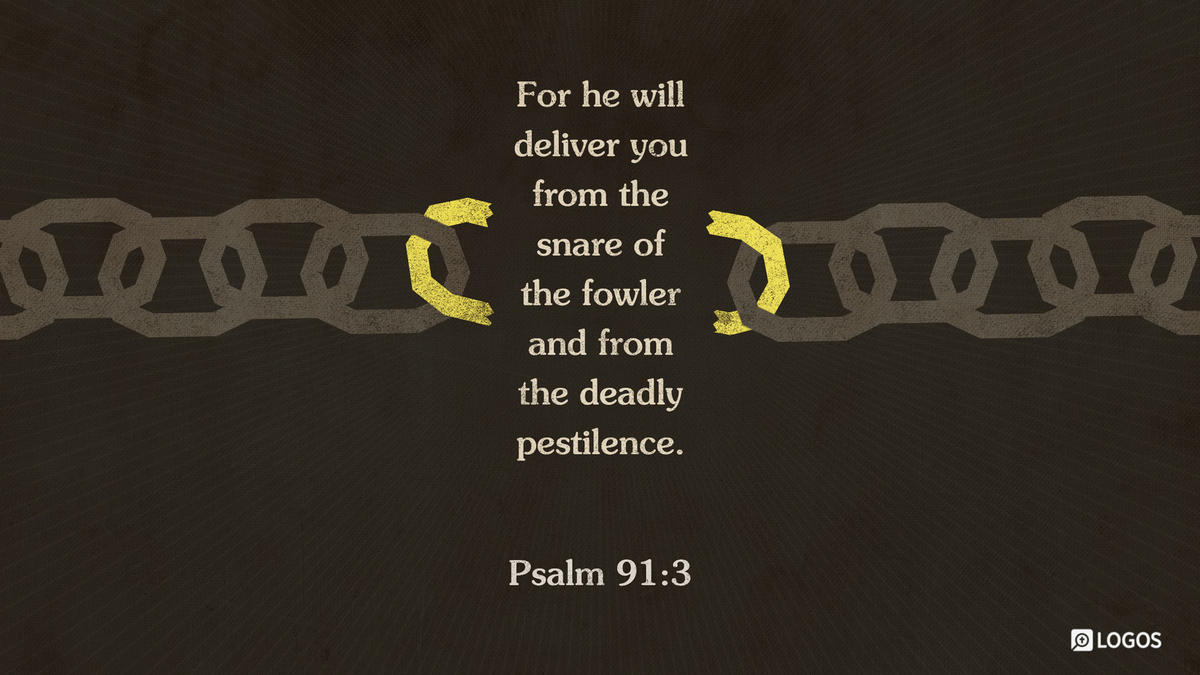 Finding Refuge in God: A Reflection on Psalm 91:3