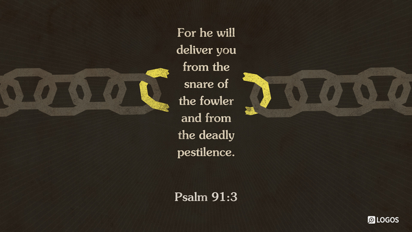 Finding Refuge in God: A Reflection on Psalm 91:3